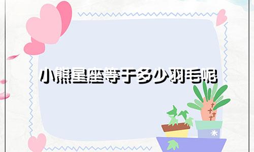 小熊星座等于多少羽毛呢