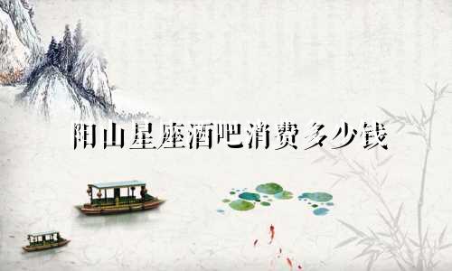 阳山星座酒吧消费多少钱
