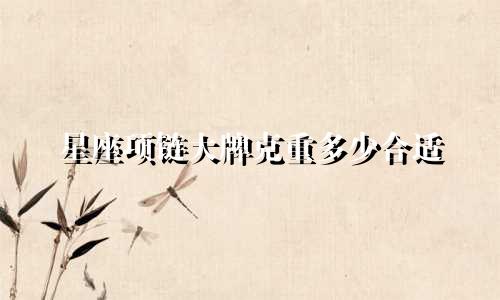 星座项链大牌克重多少合适