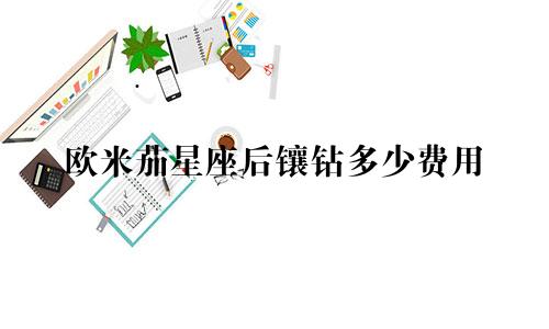 欧米茄星座后镶钻多少费用