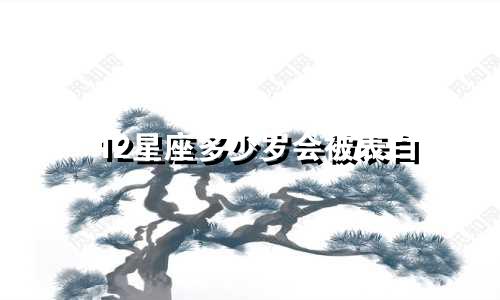 12星座多少岁会被表白