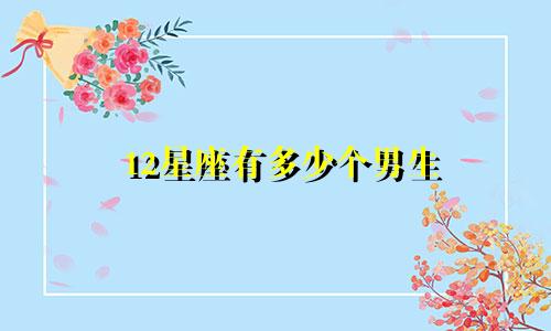 12星座有多少个男生