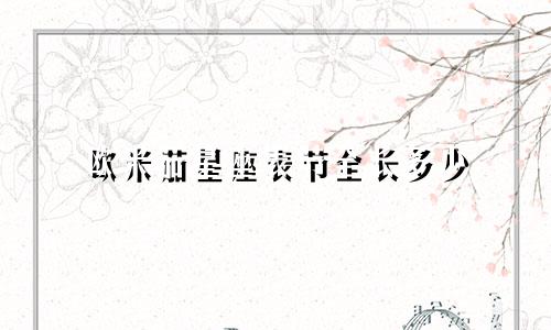 欧米茄星座表节全长多少