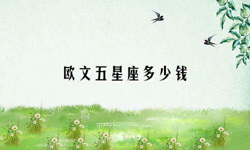 欧文五星座多少钱