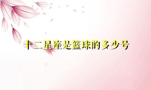 十二星座是篮球的多少号