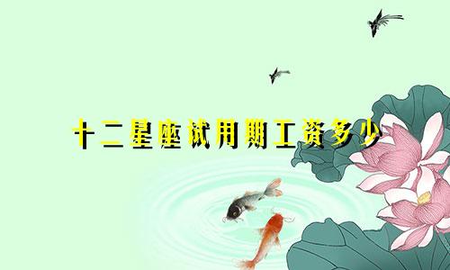 十二星座试用期工资多少