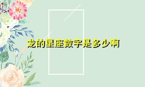 龙的星座数字是多少啊