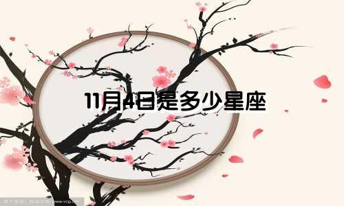 11月4日是多少星座