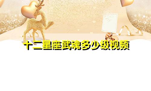 十二星座武魂多少级视频