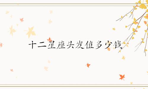十二星座头发值多少钱