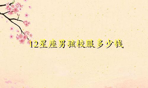 12星座男孩校服多少钱