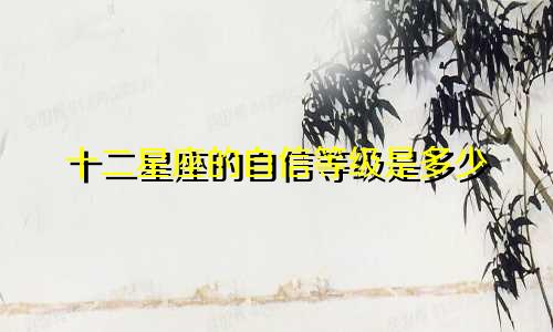 十二星座的自信等级是多少