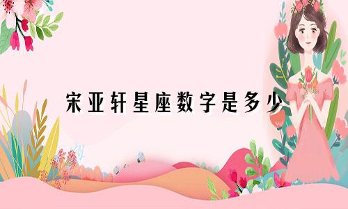 宋亚轩星座数字是多少