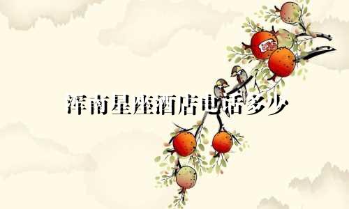 浑南星座酒店电话多少