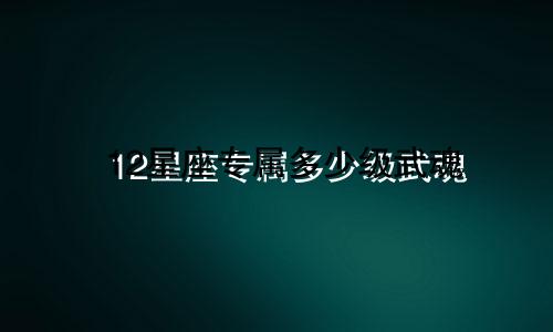 12星座专属多少级武魂