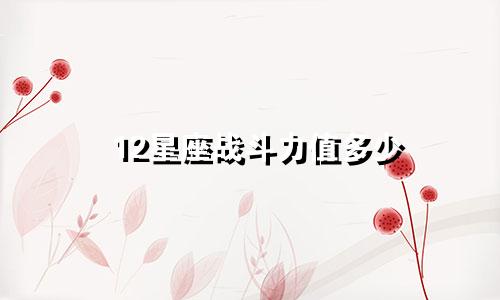 12星座战斗力值多少