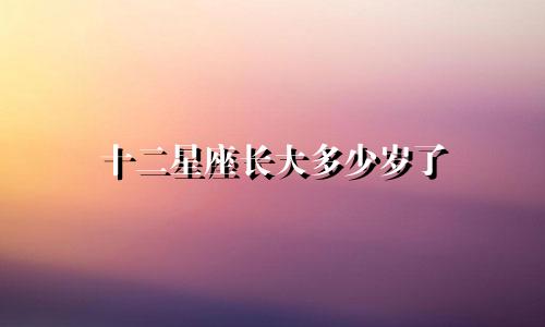 十二星座长大多少岁了