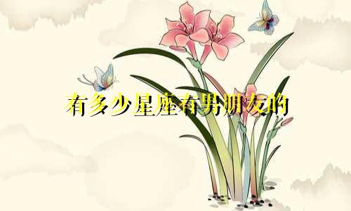 有多少星座有男朋友的
