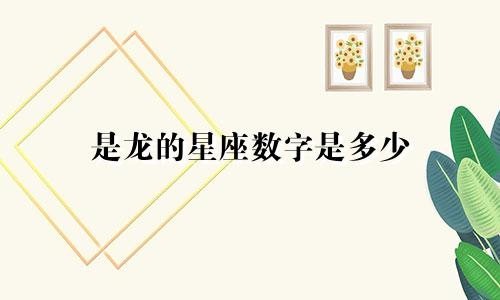 是龙的星座数字是多少