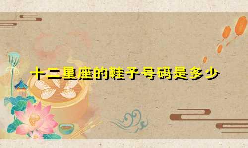 十二星座的鞋子号码是多少