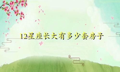12星座长大有多少套房子