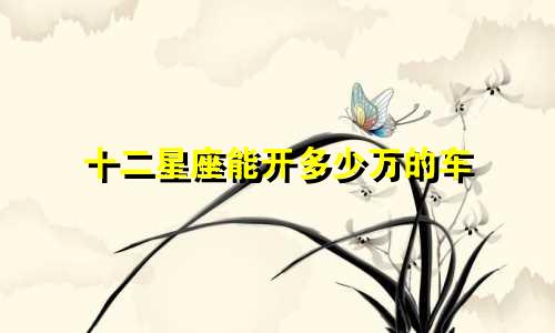 十二星座能开多少万的车