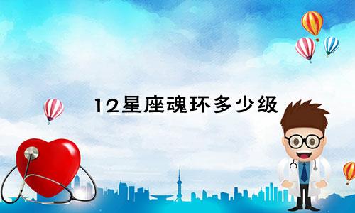 12星座魂环多少级