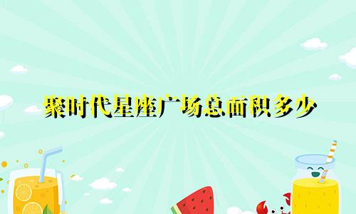聚时代星座广场总面积多少