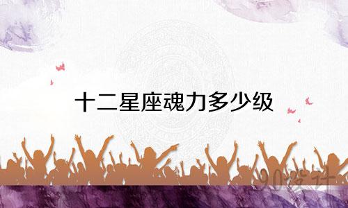 十二星座魂力多少级
