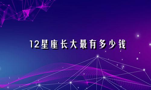12星座长大最有多少钱