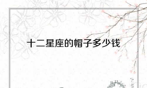 十二星座的帽子多少钱