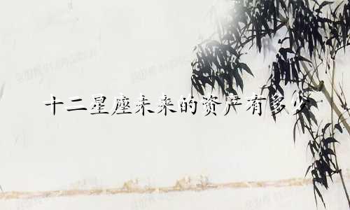 十二星座未来的资产有多少