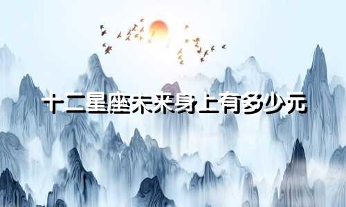 十二星座未来身上有多少元
