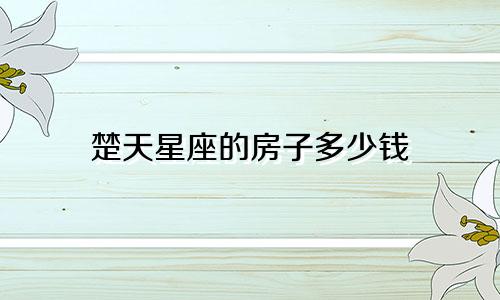 楚天星座的房子多少钱