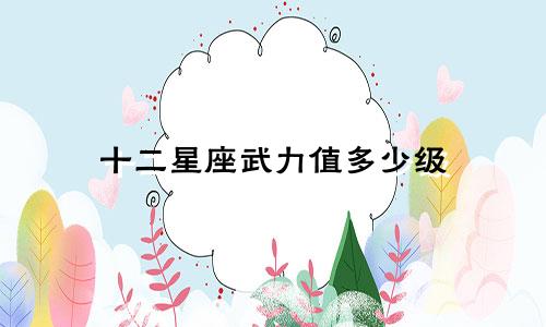 十二星座武力值多少级