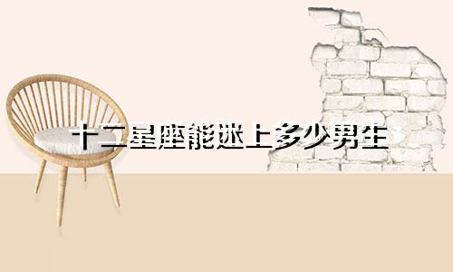 十二星座能迷上多少男生