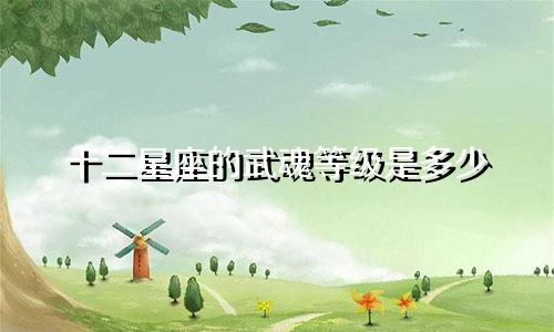 十二星座的武魂等级是多少