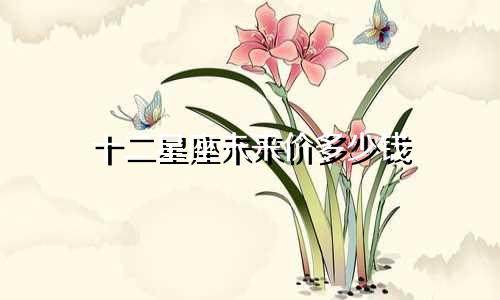 十二星座未来价多少钱