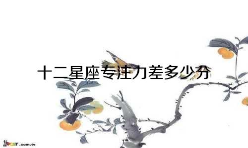 十二星座专注力差多少分