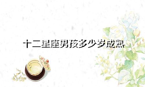 十二星座男孩多少岁成熟