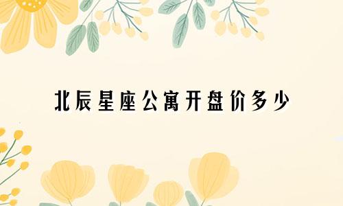 北辰星座公寓开盘价多少