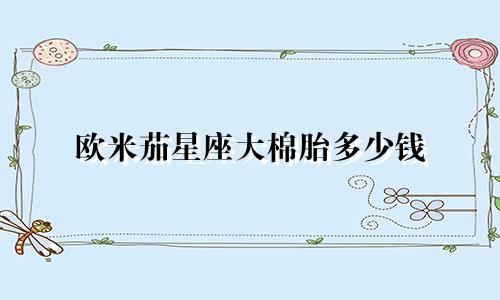 欧米茄星座大棉胎多少钱