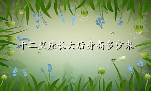 十二星座长大后身高多少米