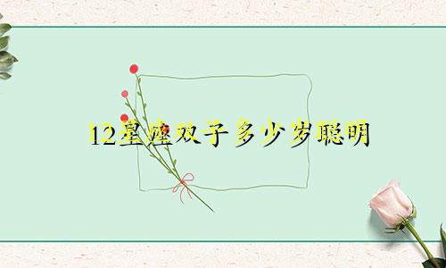 12星座双子多少岁聪明