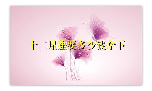 十二星座要多少钱拿下