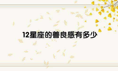 12星座的善良感有多少