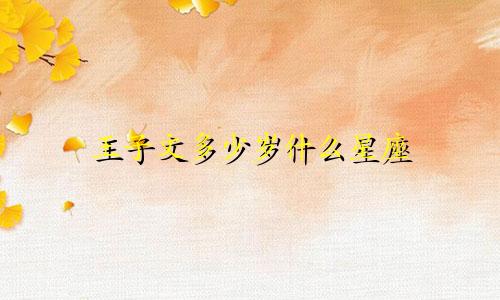 王子文多少岁什么星座