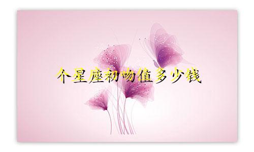 个星座初吻值多少钱
