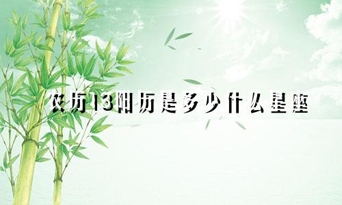 农历13阳历是多少什么星座