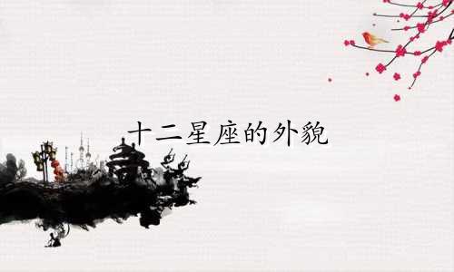 十二星座的外貌 值多少分